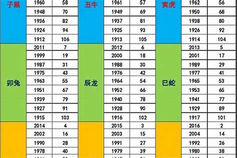 2028年五行